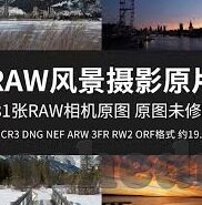 墨西哥队世界杯3号球员-墨西哥队世界杯3号球员，赛场上的坚韧与荣耀